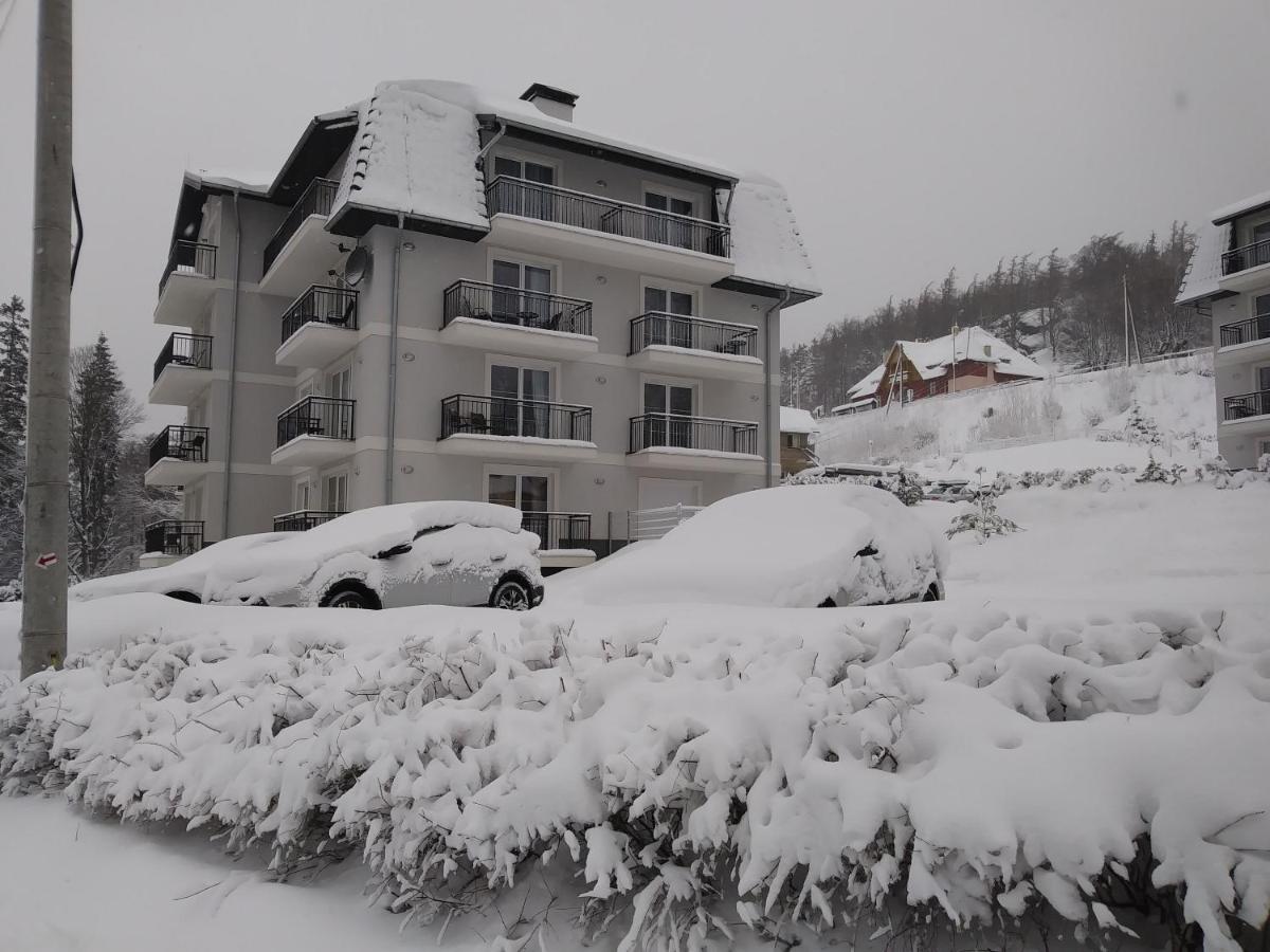 Apartamenty Amika Szklarska Poręba Kültér fotó